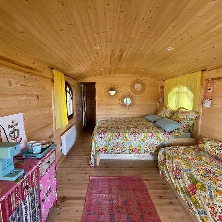 La Cabane D'Ariane Les Les Saintes-Maries-de-la-Mer Extérieur photo