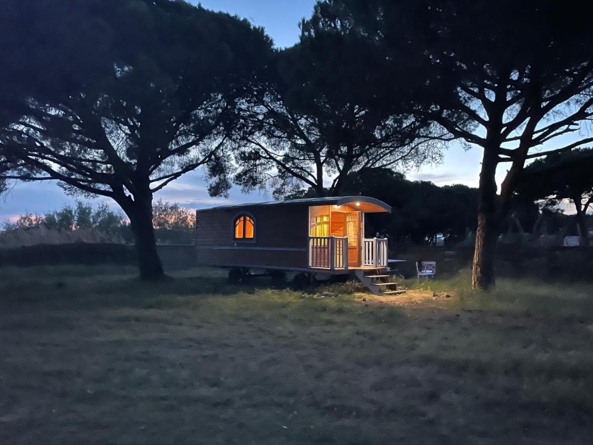 La Cabane D'Ariane Les Les Saintes-Maries-de-la-Mer Extérieur photo